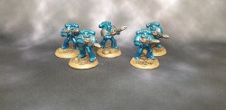 Legion Tactical Support Squad mit Melter